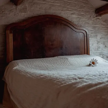 Holiday home Quirky Tiny In Moors York